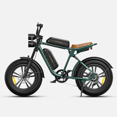 M20 Motorcycle-styled Electric Bike