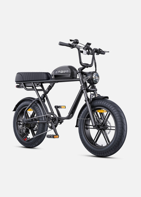 M1 Motorcycle-styled Electric Bike