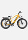 E26 Electric Bike