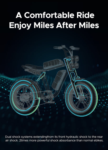M20 Motorcycle-styled Electric Bike