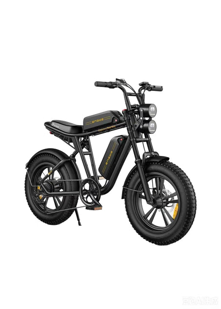 M20 Motorcycle-styled Electric Bike