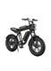 M20 Motorcycle-styled Electric Bike