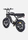 M1 Motorcycle-styled Electric Bike