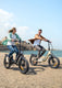 L20 3.0 Boost Electric Bike