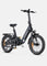 L20 3.0 Pro Electric Bike