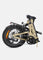 L20 3.0 Pro Electric Bike