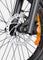 L20 3.0 Pro Electric Bike