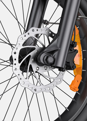 L20 3.0 Pro Electric Bike