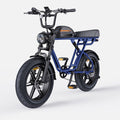 Navi Blue-M1 Motorcycle-styled Electric Bike