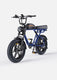 M1 Motorcycle-styled Electric Bike