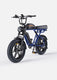 M1 Motorcycle-styled Electric Bike