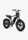 M20 Motorcycle-styled Electric Bike
