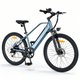 MileTrail 1 City Commuter E-Bike