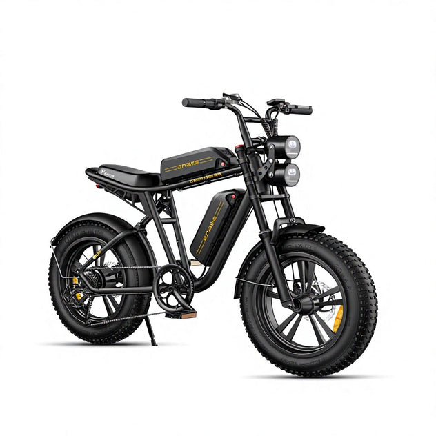 M20 Motorcycle-styled Electric Bike